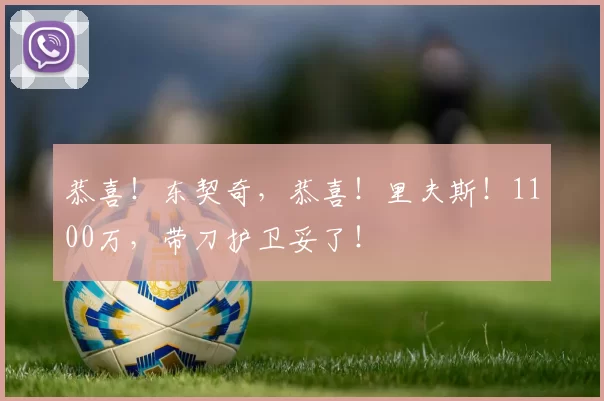 恭喜！东契奇，恭喜！里夫斯！1100万，带刀护卫妥了！