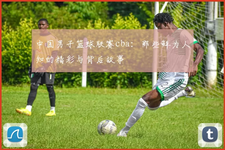 中国男子篮球联赛cba：那些鲜为人知的精彩与背后故事