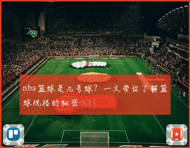 nba篮球是几号球？一文带你了解篮球规格的秘密