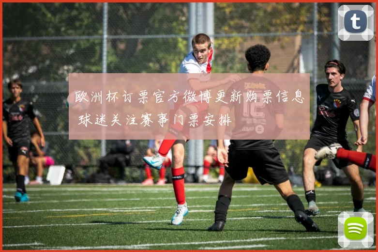 欧洲杯订票官方微博更新购票信息 球迷关注赛事门票安排