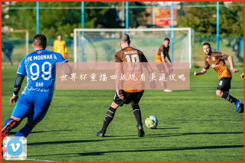 世界杯重播回放观看渠道攻略