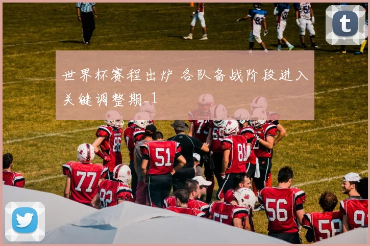世界杯赛程出炉 各队备战阶段进入关键调整期_1